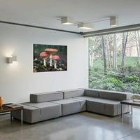 Crvena gljiva bez rastered platna zidna umjetnička ispisa, umotana umjetnička djela modernog doma za
