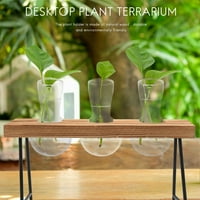 Desktop biljni terarijum sa drvenim štandom sijalica vaze za stakleni salon za biljke kućni vrtni uređenje