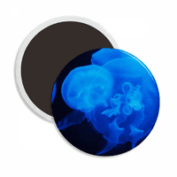 Ocean Jellyfish Naucnosti Nature Slika okruglog ceraca Frižider Magnet za održavanje ukrasa