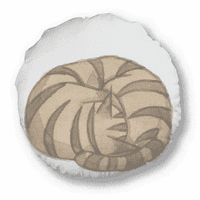 Miaoji slikarski akvarel Cat Dragon-Li okrugli jastuk Jastuk za uređenje
