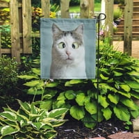 Plava smiješna mačka na oftalmologu Mometmetmet Squinting portret Humor Garden Zastava Dekorativna zastava