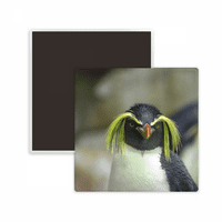 Priroda morske nauke Antarktik pingvin Slika Square Cercos Frižider Magnet CHEVAKE MENME