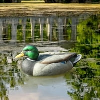 Duck Decoy Mallard ženska patka Drake plutaju kobilicu smrtonosno mamac