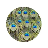 Okrugli ručnik za plažu, bičji ptica paun zelena i plava šljiva u očima od perja za oči kružnog ručnika