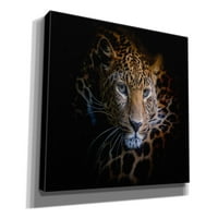 Epic Graffiti 'Sleepy Leopard' EPIC portfeljem Giclee Platno Zidno Art, 40 x26