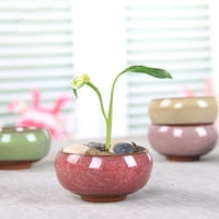 Deyuer Flower Pot osjetljiv praktični keramički kompaktni mini jednostavni sadnica sočnog biljke za