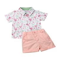 Hirigin Baby Boys Flamingo majice kratkih rukava Casual Hotsas Ljetne odjeće 1- godina