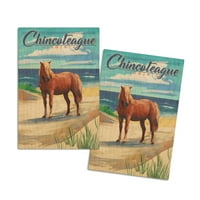Chincoteague, Virdžinija, konj na plaži
