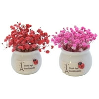 DIY ne blede Gipsfila Dekor Prekrasan suhi cvijet Desktop ukrasi sa keramičkom vazom za kućnu trgovinu