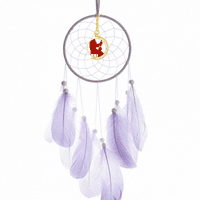 Kina Ilustracija Ilustracija igrača Erhu uzorak sanjačkim zidom viseći dekor perja