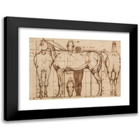 William Mulready Crna modernog uokvirenog muzeja Art Print pod nazivom - anatomska studija konja