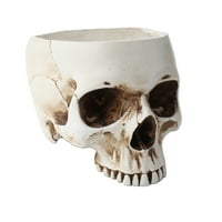 Halloween Skull Ornament Reses Biljna posuda Kontejner za ljudsku lubanju glava cvjetni lonac za vješticu