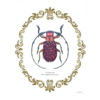 Wiens, James Black Moderni uokvireni muzej umjetnički print pod nazivom - ukrašen Coleoptera II