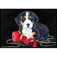 Carolines Treasures Entlebucher Mountain Dog u zatvorenom vanjskom vratima