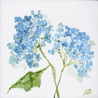 Plavi cvjetovi plakat Print - Molly Susan jak