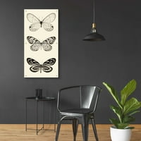 Epic Art 'Butterfly BW Panel II' od strane Debra Van Swearingen, akrilna staklena zidna umjetnost, 24