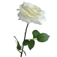 Visoka silska ruža Addie Single Stam, bijela