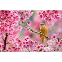 Songbird u cvjetovima trešnje