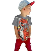 Toddler Boys Košulje Dinosaur Print Crew Crct Kratki rukav Ljetne prozračne labave majice Veličina 100; 2- Y