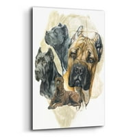 Epic Art 'Cane Corso' bybara Keith, akrilna staklena zida Art, 12 x16