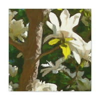 Splendor Magnolia Tree - Platno