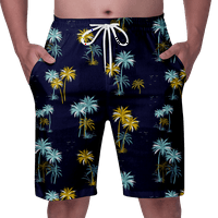Dječaci i muški kratke hlače Havajski kratke hlače za muškarce, plažne kratke hlače za muškarce Ljeto Flowy Hratke Prozračne i brze suhog kupanja za muškarce za muškarce Lounge Shorts Swim Shorts Muškarci Letnje kratke hlače - 4xl