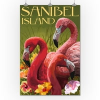 Ostrvo Sanibel, Florida, Flamingos