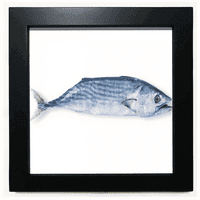 Ocean riba svježa plava mali crni kvadratni okvir zidni zidni stol