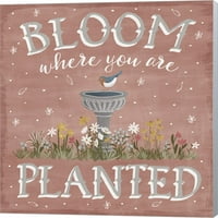 Blooming Garden VII by Laura Marshall, platno Zidna umjetnost
