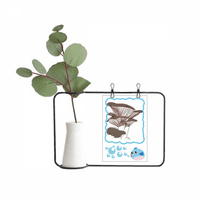 Ukusna kućna jela ilustracija prozirno staklo Viseće boca za ukrašavanje vaze