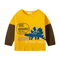 Toddler Boys Dinosaur Dukserica Pulover okrugli vrat Splice majica s dugim rukavima
