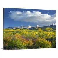 in. Istočni Beckwith Mountain Flanked panjom obojenim aspensnim šumama pod kumulusnim oblacima, Colorado