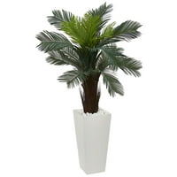 4.5 'Umjetna postrojenja Cycas u White Tower Planteri