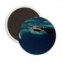 Ocean Ray Skate Science Nature Slika okruglog ceraca Frižider Magnet za održavanje dekoracija