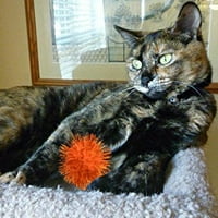 Cat igračka lopta Boja mačka kugla kućna ljubimac mačka igračka interaktivna igračka kugla, narandžasta, g102600