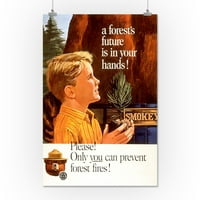 Smokey Bear - šuma u vašim rukama - Vintage poster