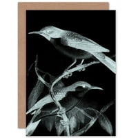 Ptice ilustracija noćne čestitke Plus koverta prazno iznutra