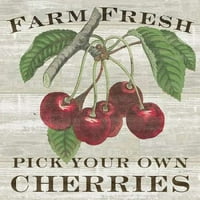 Farm Fresh Trerry Poster Print Sue Schlabach