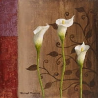 Calla Lilies i Poster Print Michael Marcon