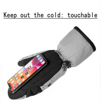 Zimske rukavice od ovčjeg kože, tople zaslonske rukavice s dodirnim zaslonom s kašmirnom oblogom, ženka siva