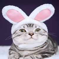 Papaba mačja pokrivala, slatka zečja uši na čelu za glavu šešira pas teddy bichon cat cosplay ljubimac