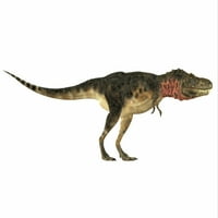 Tarbosaurus je bio mesoždernog terase dinosaura koji je živio tokom krednog perioda otiska Azije