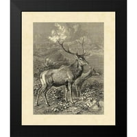 Specht, Friedrich crni moderni uokvireni muzej umjetničko otisak pod nazivom - Vintage Roe Deer II