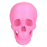 Ymiko ukrasi za lubanje, Resin Skull Decor Festival Početna rekvizicija Lažna cijela osoba lubanje ukrasi ružičaste, ružičaste lubanje