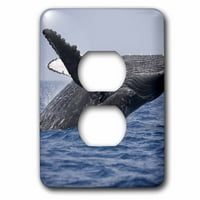 Havaji, veliki otok, grbavi kitovi - US PSO - Paul Souders utikač Outlet Cover LSP-89831-6