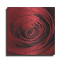 Luxe Metal Art 'The Red Rose II' Lori Deiter, metalna zida Art, 36 x36