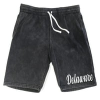 Muški scenarij Delaware State V Vintage Black Fleece Stars veliki