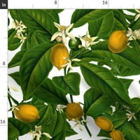 Plišani minky baca, 50 70 - limun botanički vintage tropski postrojeni cvjetni listovi ispis pokrivač
