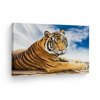 Smile Art Dizajn Prekrasan azijski tigar s nebom Wild Aniction Canvas Zidno umjetnost Print Print Priroda
