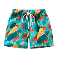TODDLER Baby Boys Hawaii Summer Plaža Kratke hlače Slatki crtani uzorak Štorke za ispis Dječje labave